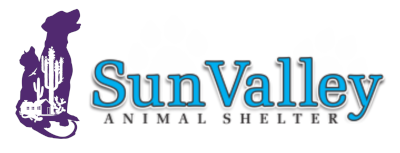 Valley 2024 animal shelter